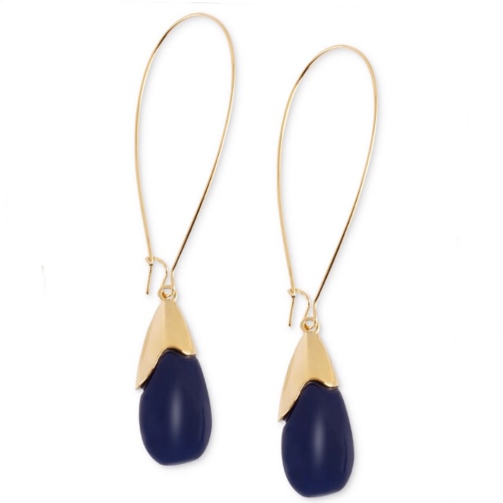 🎁🆕Robert Lee Morris Navy Drop Earrings